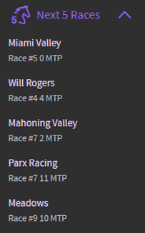 A screenshot showing how horse race betting sites display upcoming races.