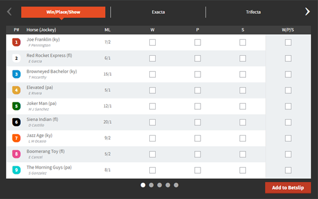 How to place a wager at a horse racing betting site