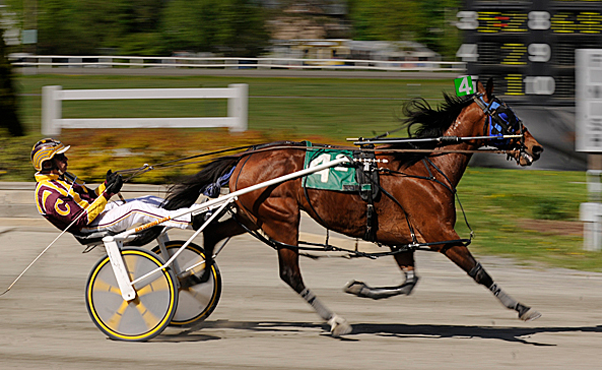 An Example of Harness Racing