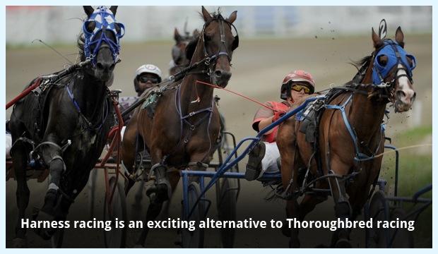 Harness Racing Takes Place at Many Horse Racing Venues Around the World