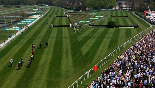 The Track at Sandown Park Racecourse
