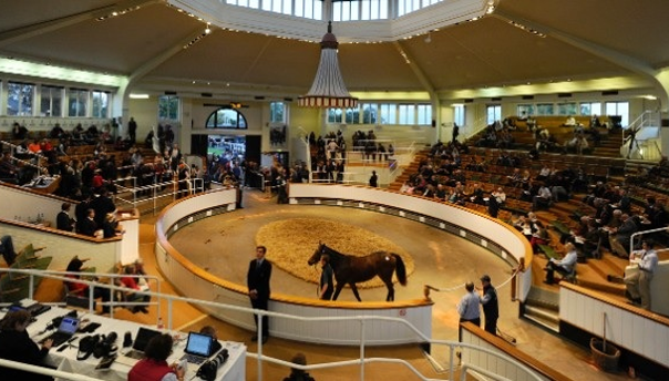 A Racehorse Auction Taking Place at Tattersalls in Newmarket