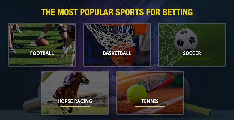 The most popular sports for betting on